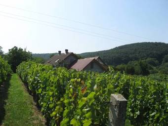 Apartamento Balatonlelle-kishegy