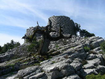 Agroturismo Agriturismo Didone