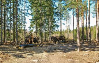 Nice Apartment In Kosta W/ 1 Bedrooms