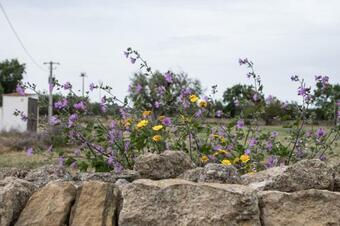 Bed & Breakfast Le Grotte Di Sileno