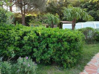 Apartamento Studio Calme Et Confortable Avec Piscine