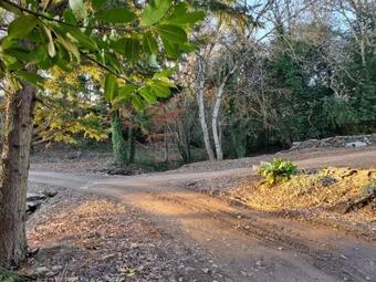 L'oeil De Carcassonne