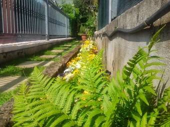 B&B Happy Days Verona