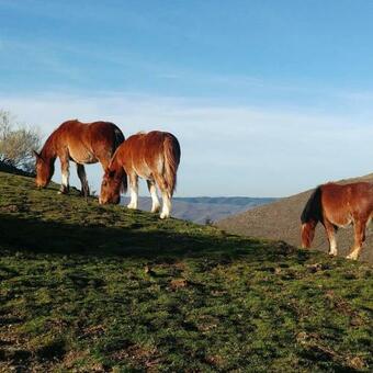 Apartamento Zaldierna Al Sol, Aldea Del Siglo XVIII Ezcaray