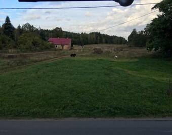 Dom Go?cinny Smolarki