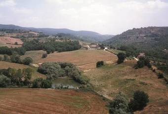 Agroturismo Agriturismo Il Pino