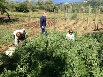 Case Coloniche Berni