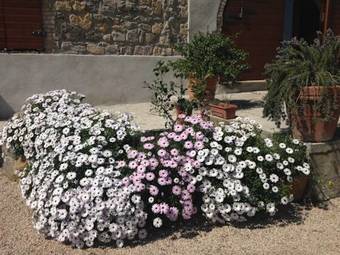 Bed & Breakfast Villa Naumanni