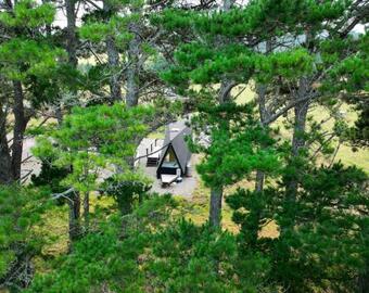 Pine Forest 1 Glenquarry 4pm Check Out Sundays Except Peak Seasons