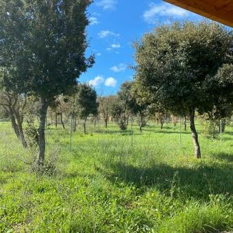 Apartamento La Casa Del Ricamo Sardo Casa Campidanese