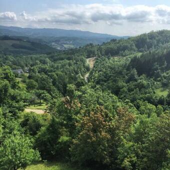 Apartamento Casa Pastano Stunning Farmhouse In Italian Hills