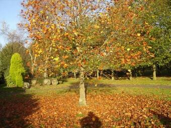 Les Gites De Ty Dreux