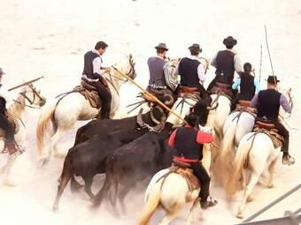 G�te Proven�al Tout Confort Avec Jardin