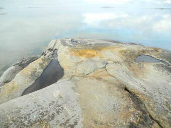 Skytent Ecocamp Taalintehdas Dalsbruk