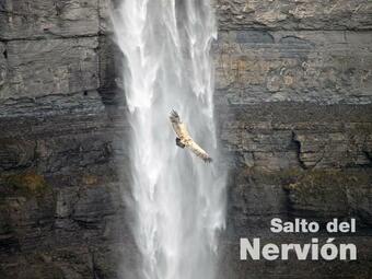 Agroturismo El Txakoli