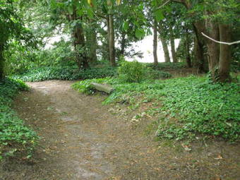 Au Refuge Des Alli�s