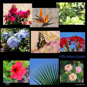 Bed & Breakfast Villa Soluna