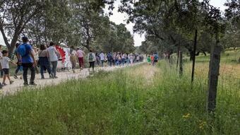 Apartamento C�modo Piso En Carde�a (c�rdoba)