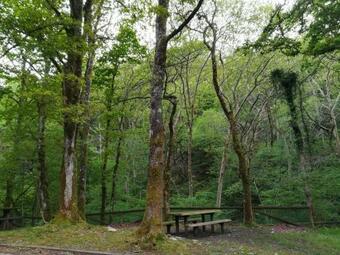 La Casina De Valles De San Rom�n