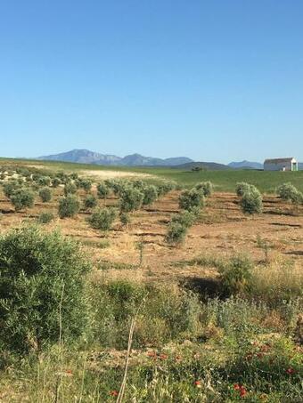 Double Room At La Casa Amarilla