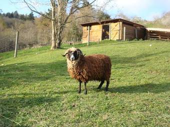 Apartamento Casa Florenta