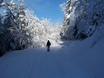 Bed & Breakfast Au Vieux Four � Pain