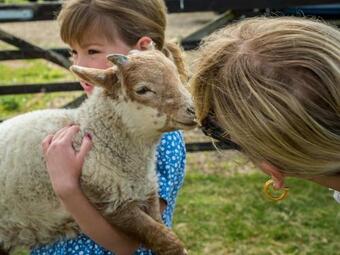 Crabtree Farm - South Stable