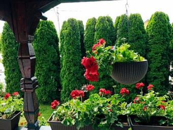 Hostal Pensiunea Casa Andreea - B�rsana Maramure?