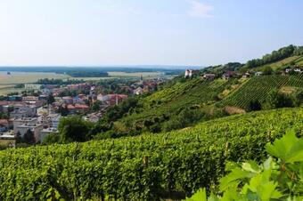 Apartamento Po?itni?ka Hi?ka Pod Hadikom