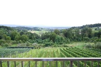 Apartamento Yellow House Grabrovec