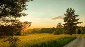 Grande Tiidu Sauna House