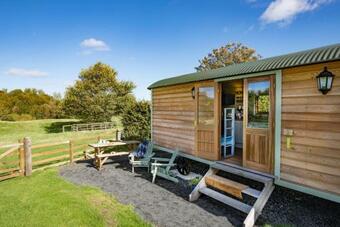 Teasel Shepherd's Hut