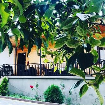 Bed & Breakfast Plantacia