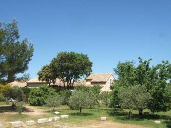 La Garrigue Des Alpilles
