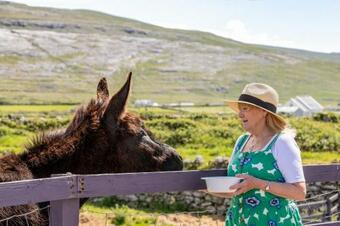 Hostal Into The Burren