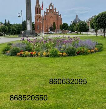 Apartamento Butas Senamiestyje