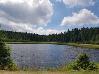 Apartamento Brunarica 6a