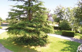 Holiday Home Bermonville Rue De La Mairie