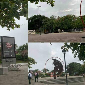 Ver fotos