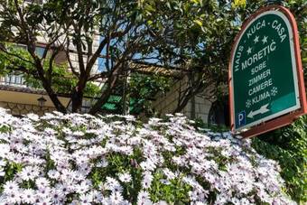 Bed & Breakfast Pansion Moretic
