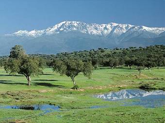 Apartamentos Rurales Los Vergeles