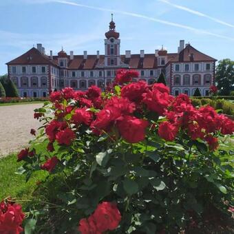 Pr�zdninov� Domek V ?esk�m R�ji