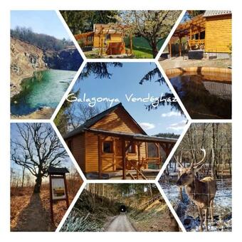 Romantikus Erd?sz�li Fah�z