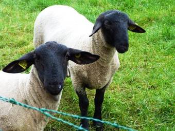 Hotel Ferme Des Chartroux