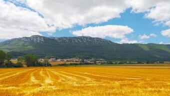 Apartamento Angus Etxea