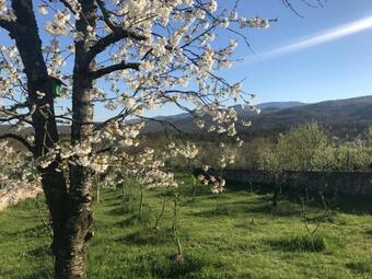 Apartment ?apjane Pil?i?