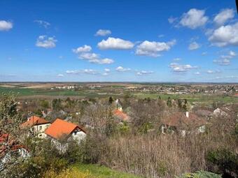 Holiday Home In Tamasi - S�dtransdanubien 42699