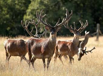 Hotel Restaurant Laborderie