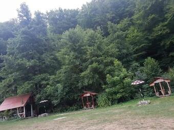Camping Moneasa