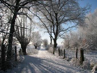 B&B - La Cense Du Pont